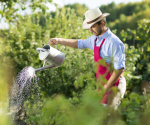 Gemeinschaftsgarten - Gärtnern in der Freizeit