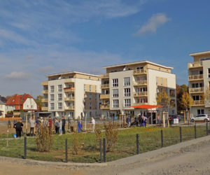 Banner-Bild