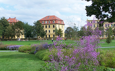 Banner-Bild
