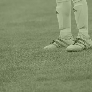 Banner-Bild