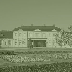 Banner-Bild
